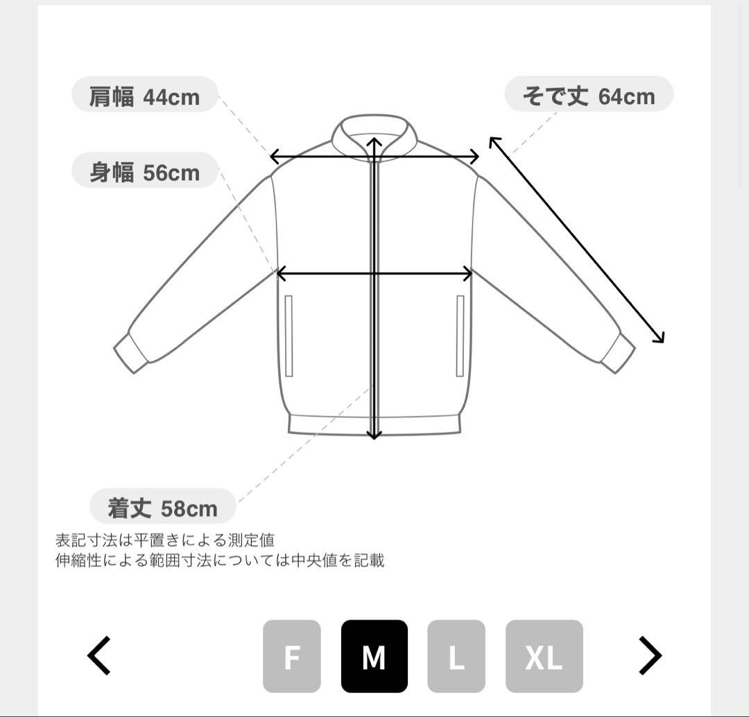 AVIREX L-2 5th AIR FORCE アヴィレックス