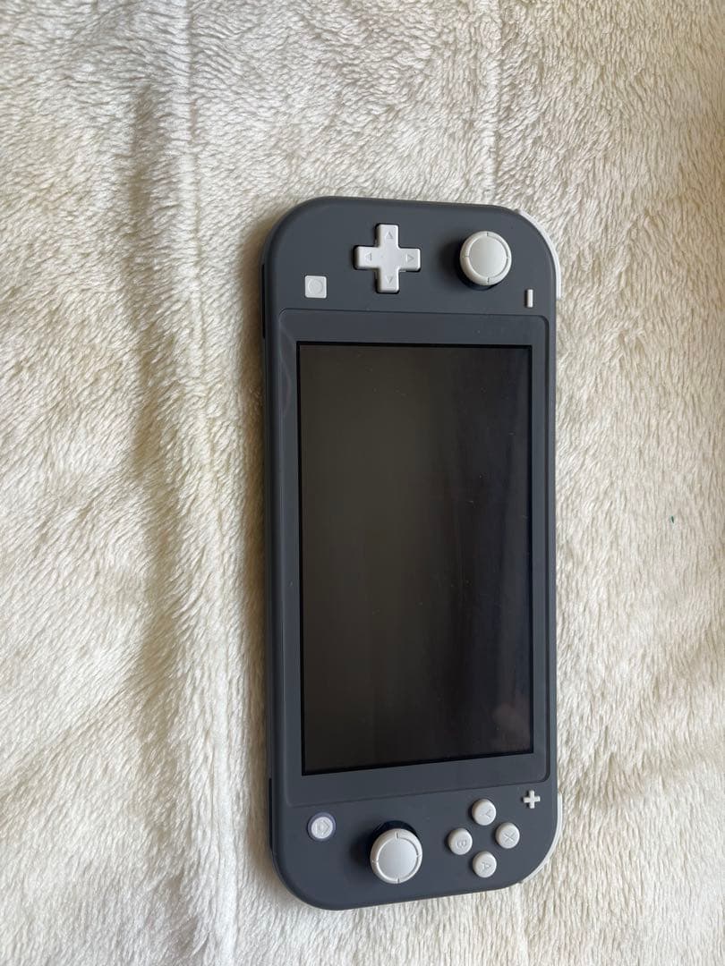 Nintendo Switch Lite グレー 充電器付き