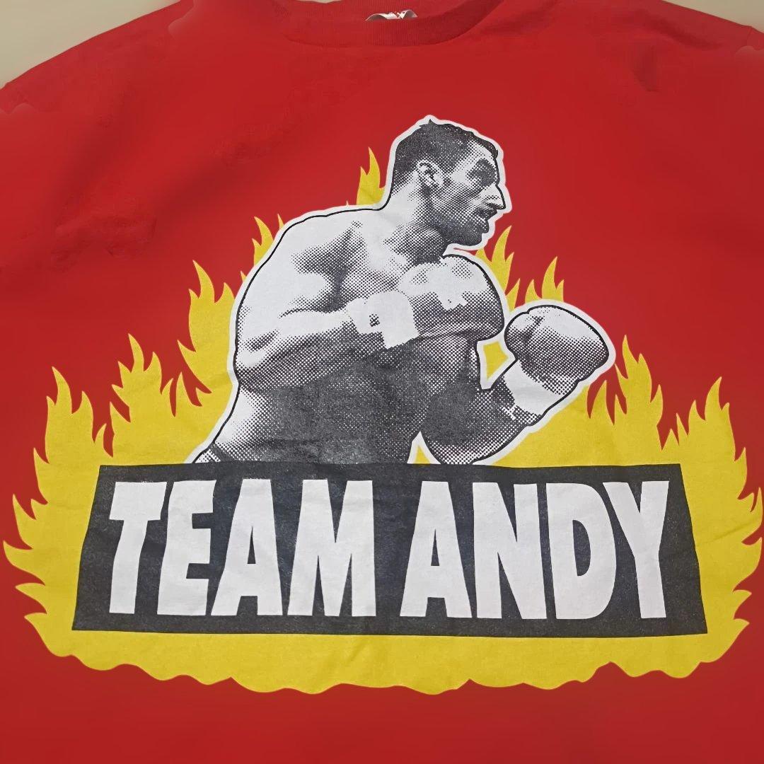 希少 アンディフグ K-1ファイター カップヌードル Tシャツ TEAMANDY