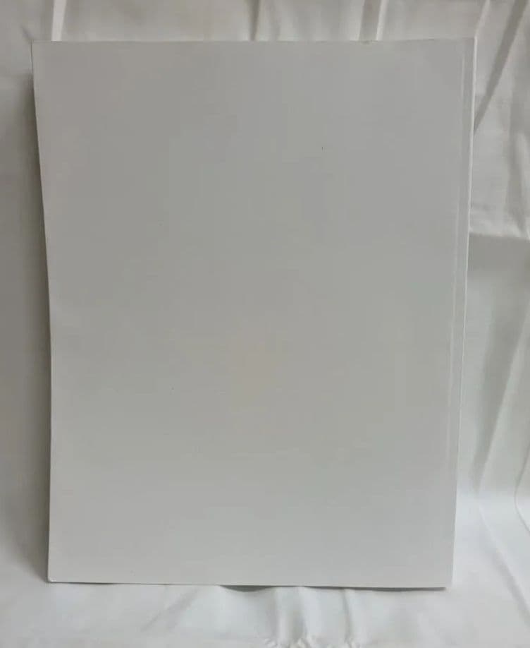庵野秀明展　図録
