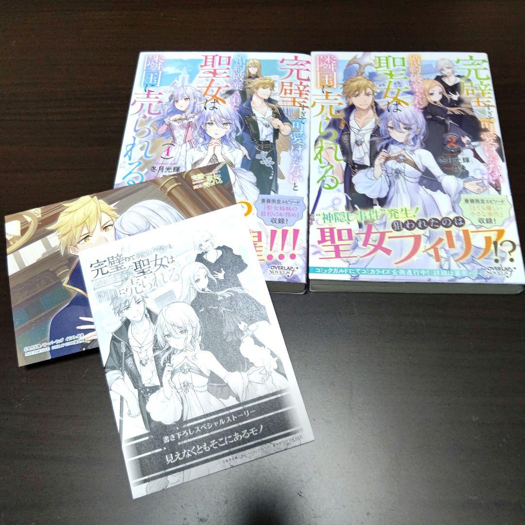 完璧すぎて可愛げがないと婚約破棄された聖女は隣国に売られる 1～8巻