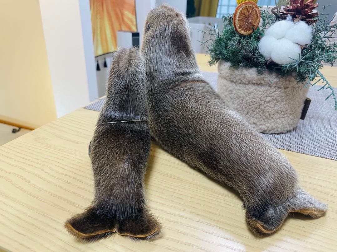 アザラシ ぬいぐるみ 2体セット
