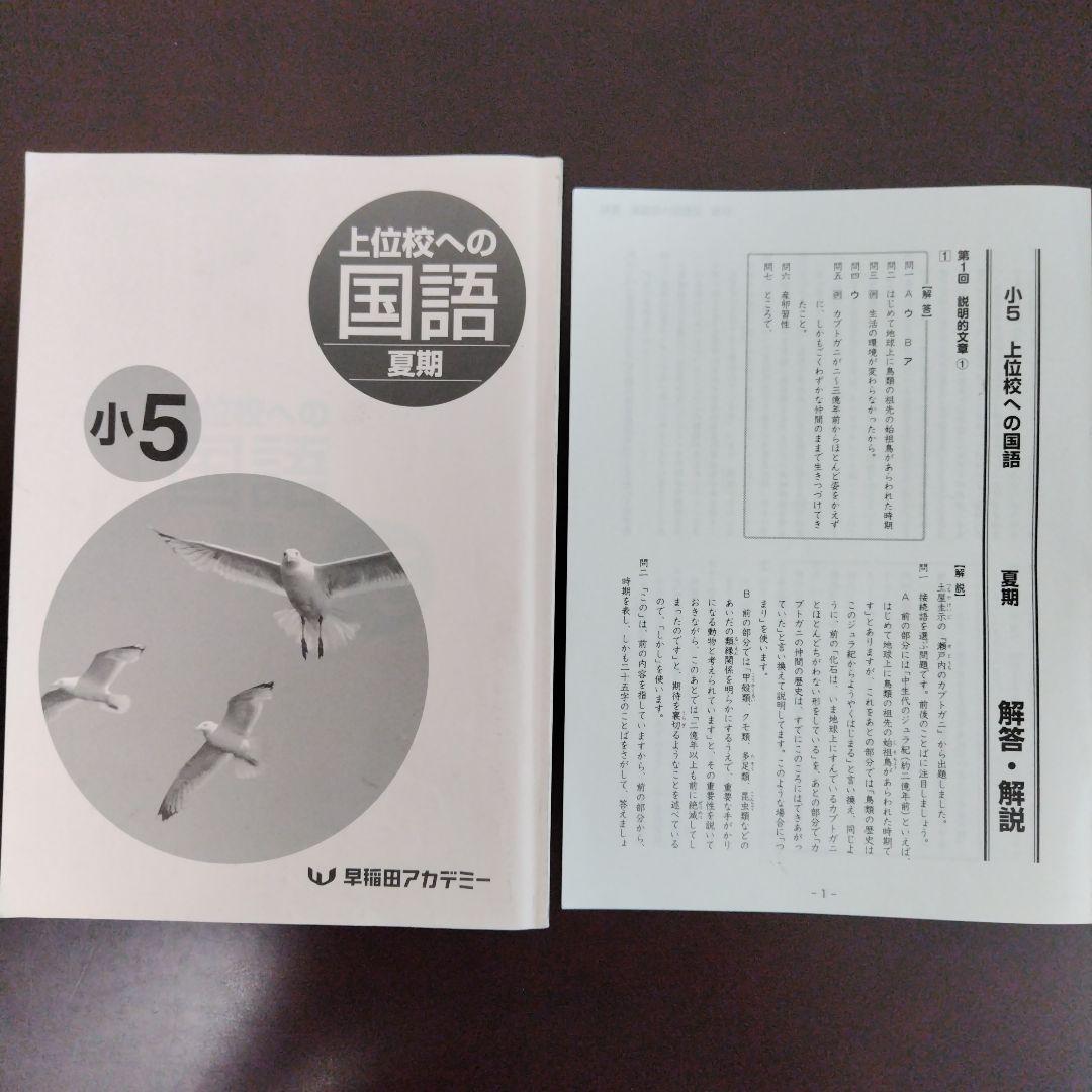 小５ 夏期講習会セット 早稲田アカデミー