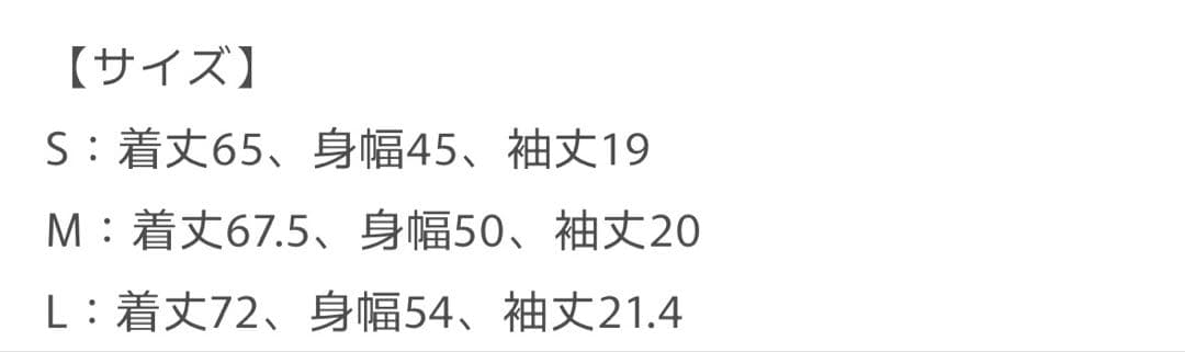 B. SOUL LONG 10th TEE ioの証明写真付き×3