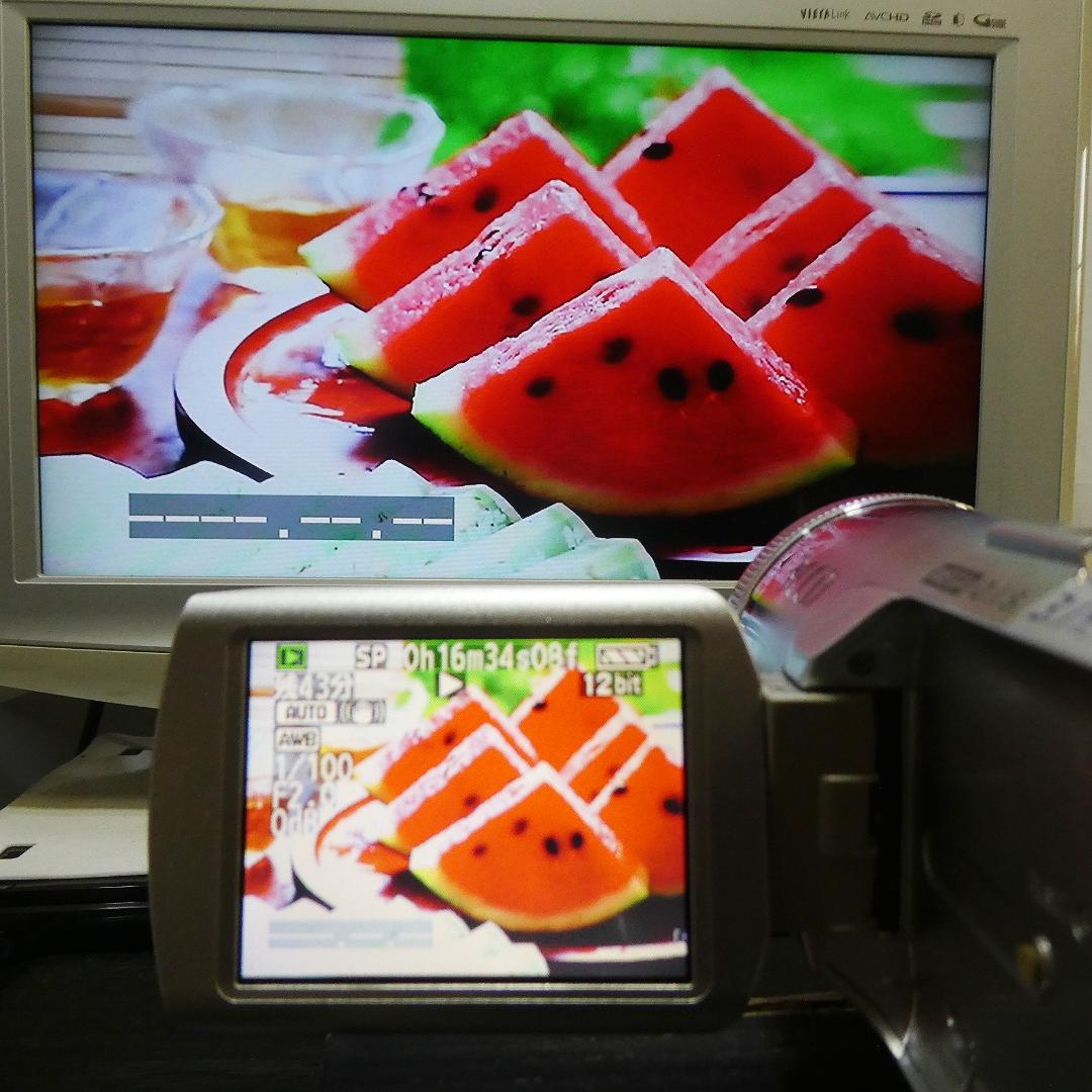 動作良好 パナソニックNV-GS250 MiniDVビデオ DVD化に最適 !