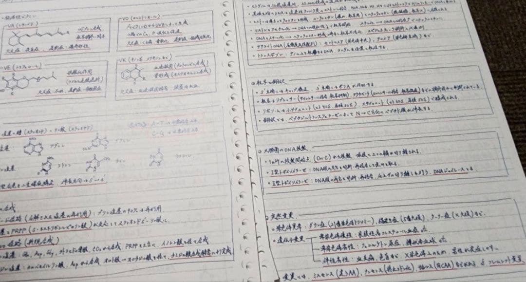 薬剤師国家試験　まとめノート　語呂ノート　価格交渉可