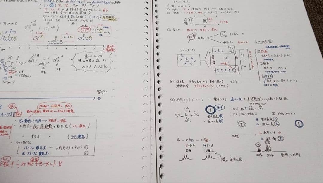 薬剤師国家試験　まとめノート　語呂ノート　価格交渉可