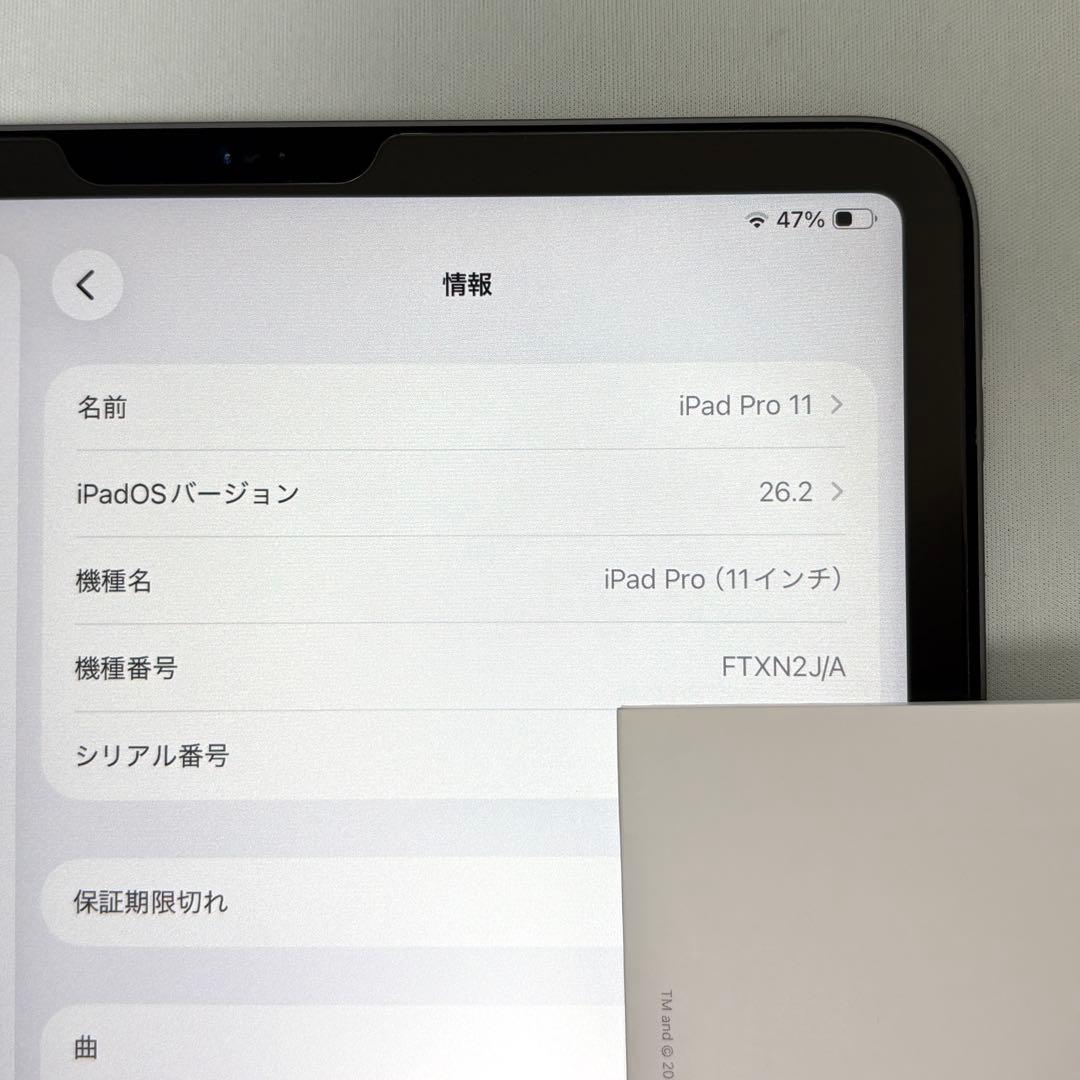 【最大容量89%】iPad Pro 11インチ 第1世代