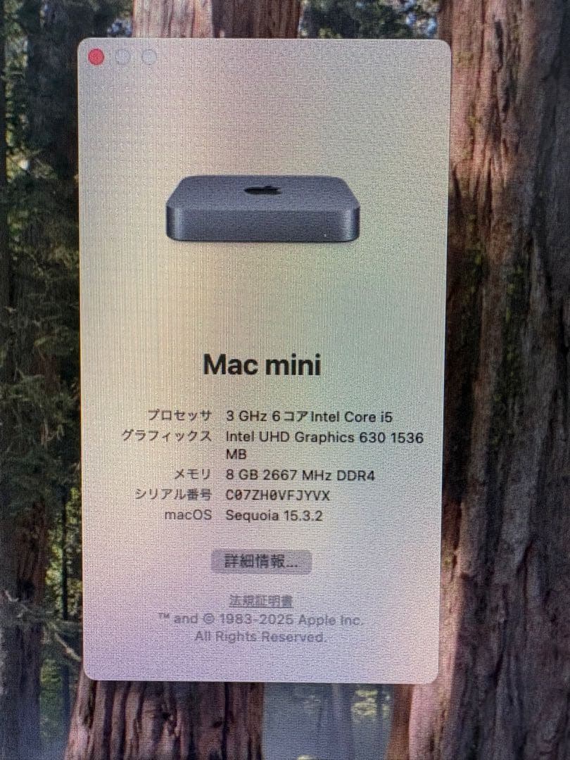 ゆうたApple Mac mini スペースグレー