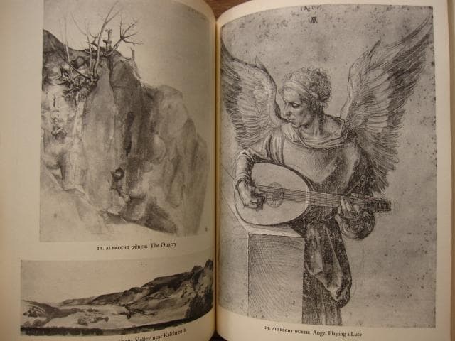 Durer and His Time　アルブレヒト・デューラー　版画　画集