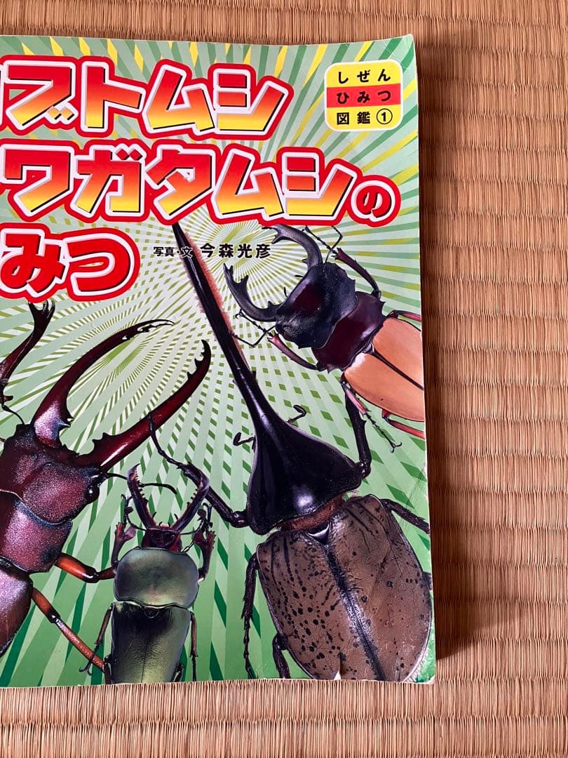 お値下げ　はたらくくるまたち　踏切り　パウパトロール　人気絵本16冊セット