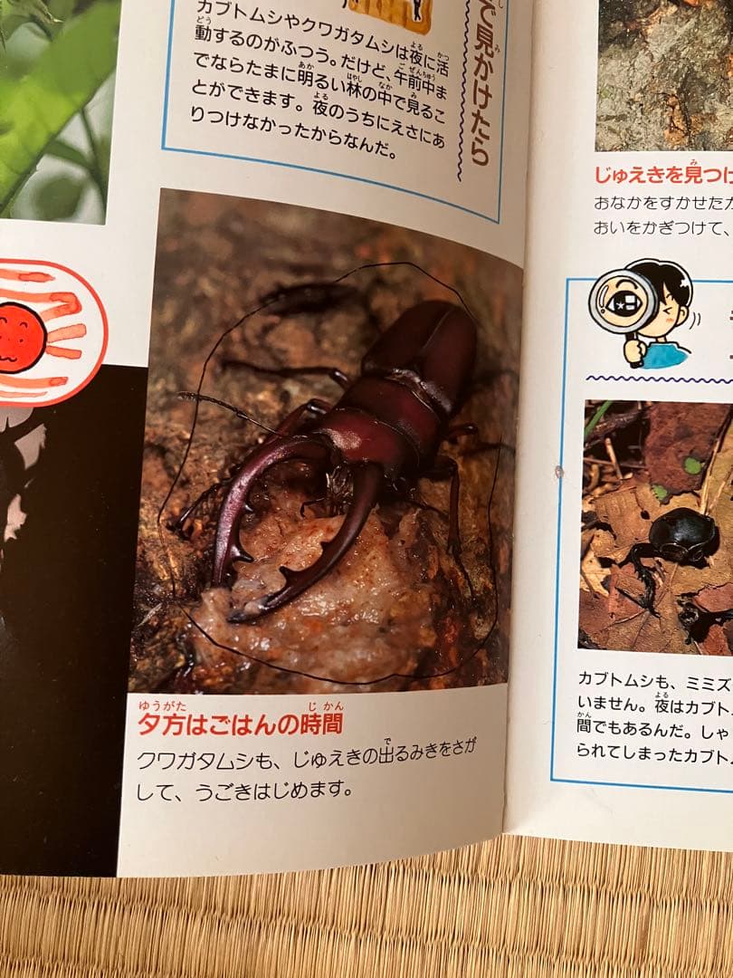 お値下げ　はたらくくるまたち　踏切り　パウパトロール　人気絵本16冊セット