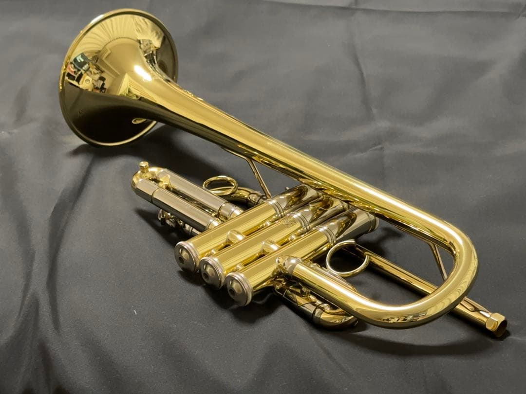 【うの】V.BachアルティザンE♭管 AE190GL選定品