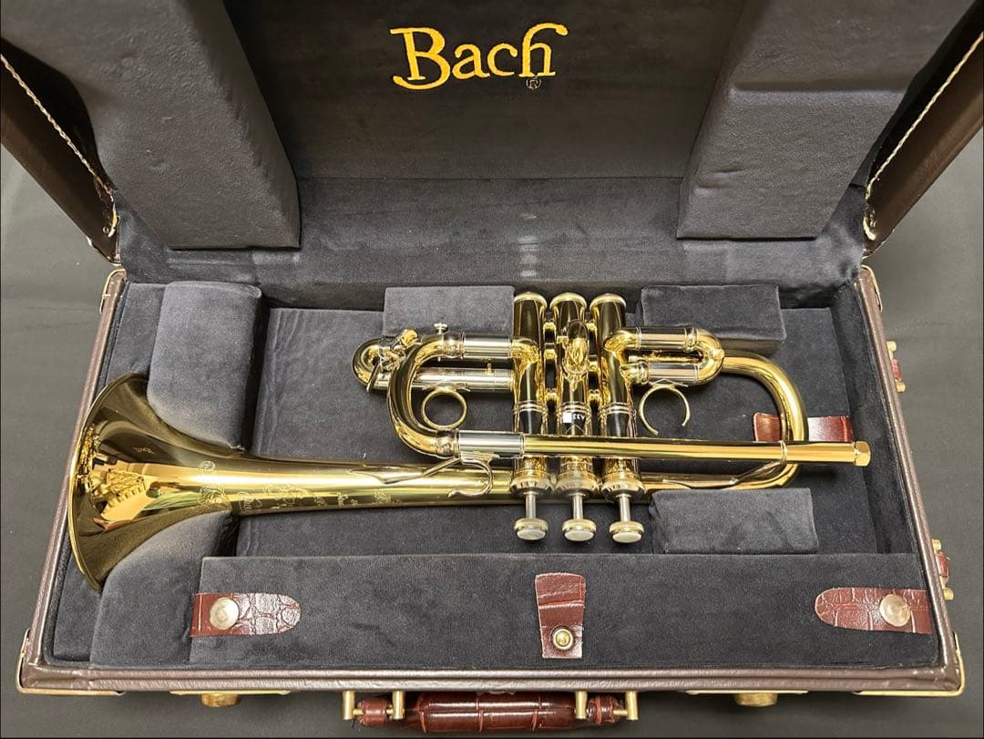 【うの】V.BachアルティザンE♭管 AE190GL選定品