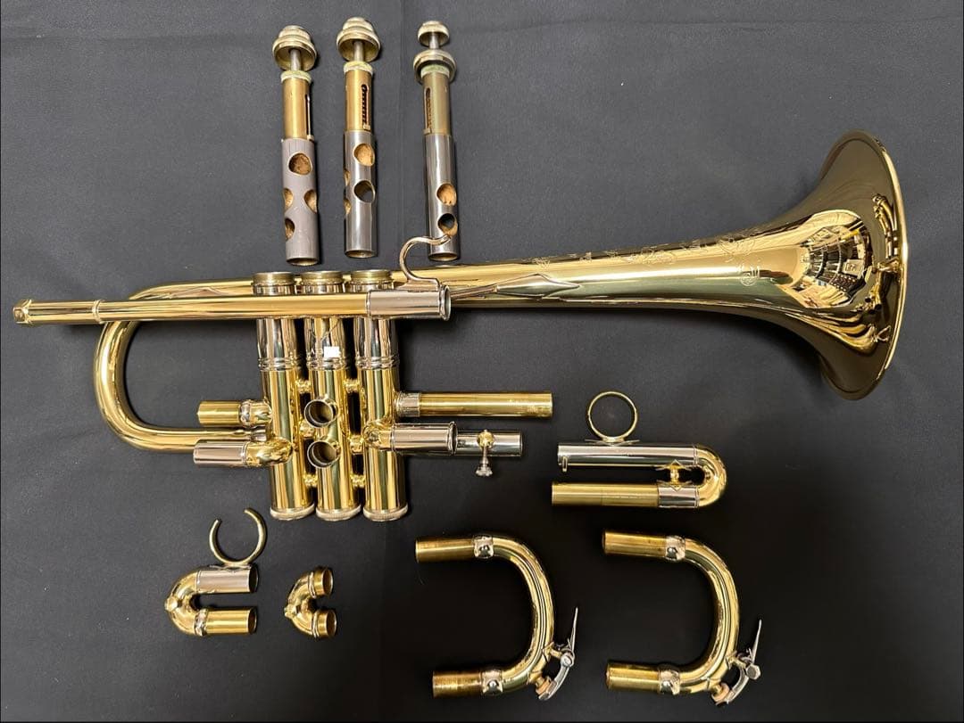 【うの】V.BachアルティザンE♭管 AE190GL選定品