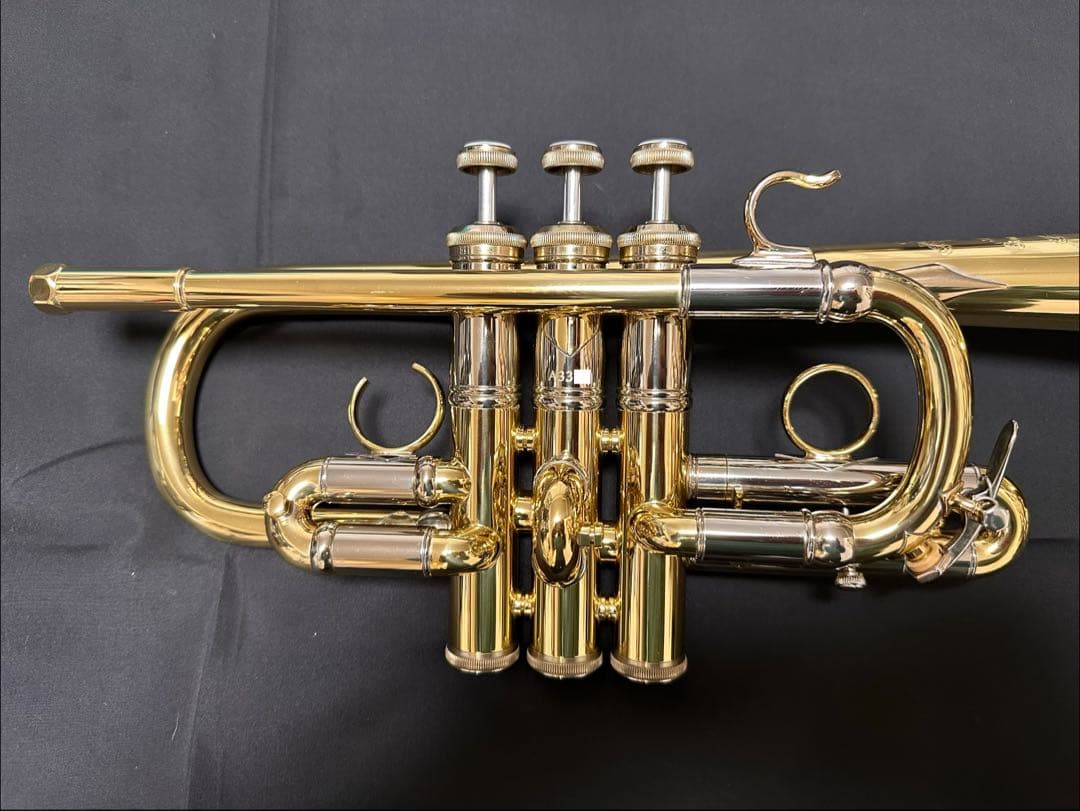 【うの】V.BachアルティザンE♭管 AE190GL選定品