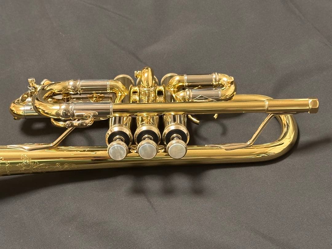 【うの】V.BachアルティザンE♭管 AE190GL選定品