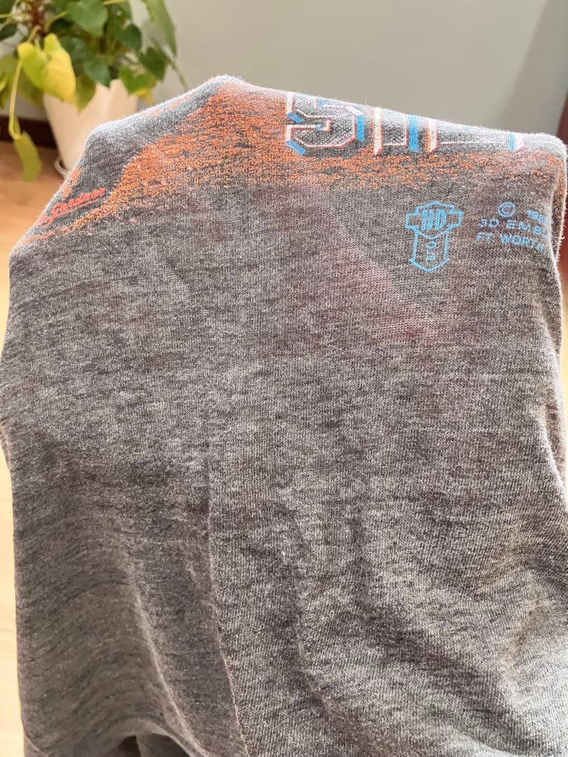 HARLEY-DAVIDSON ハーレーTシャツ、ヴィンテージ、バックプリント有