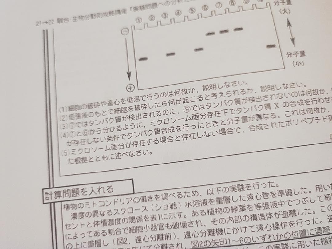 駿台　生物特別講義　実験問題への分析と改善　フルセット　朝霞先生　河合塾　鉄緑会