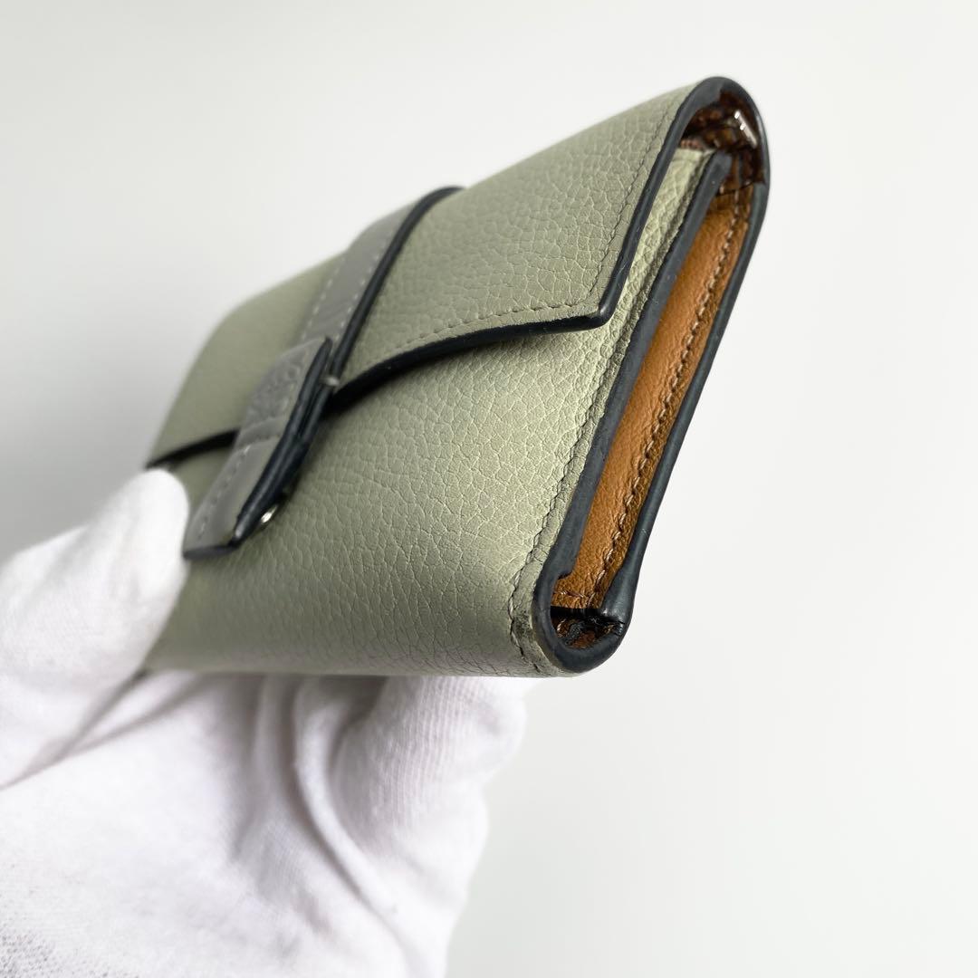LOEWE ロエベ バーティカルウォレット スモール マーブルグリーン