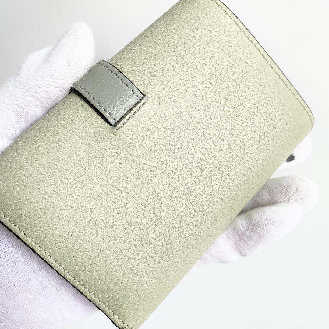 LOEWE ロエベ バーティカルウォレット スモール マーブルグリーン