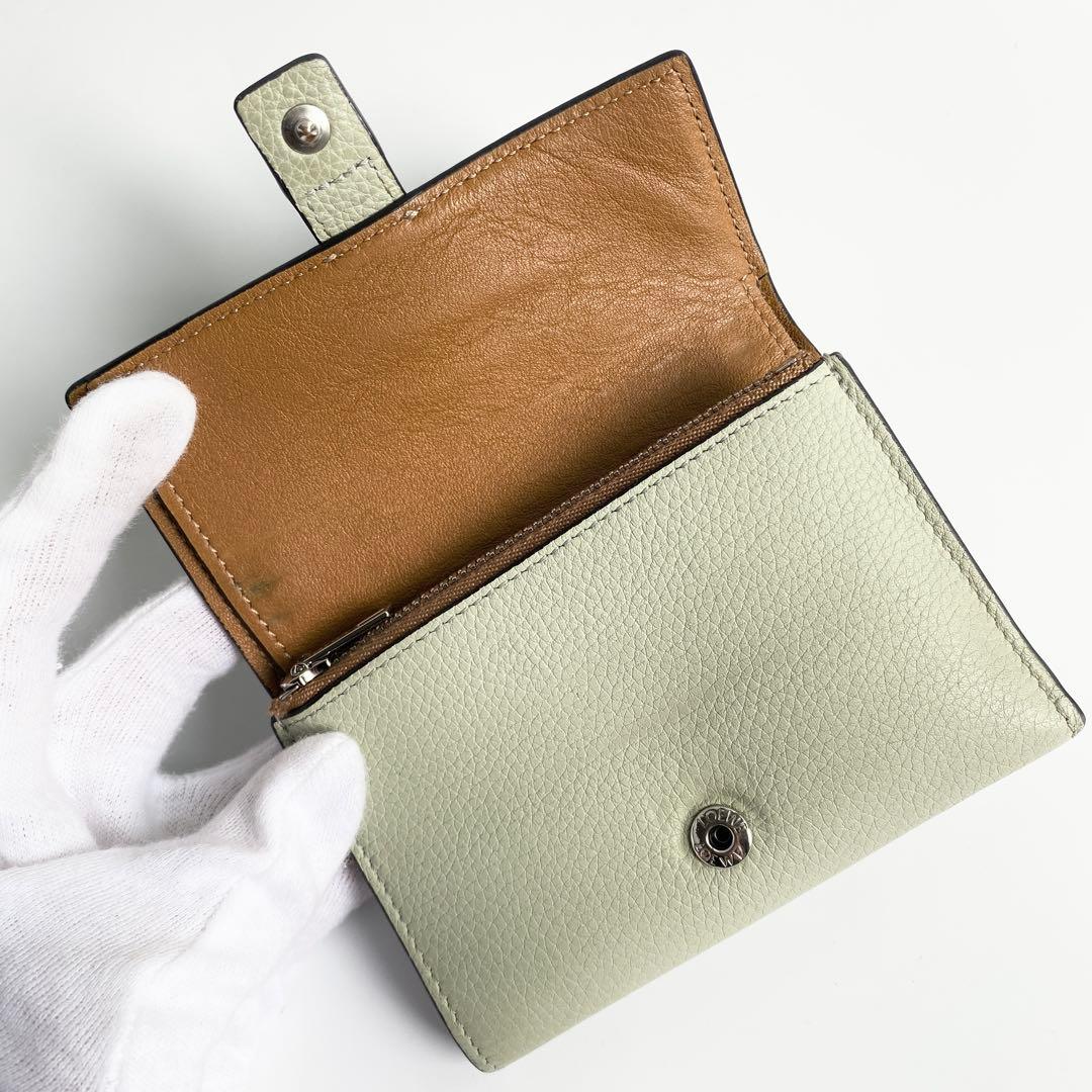 LOEWE ロエベ バーティカルウォレット スモール マーブルグリーン