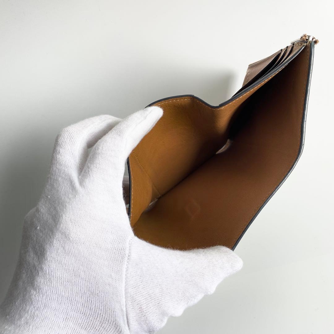 LOEWE ロエベ バーティカルウォレット スモール マーブルグリーン