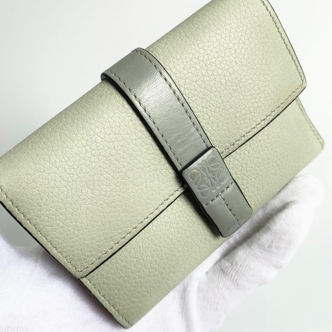 LOEWE ロエベ バーティカルウォレット スモール マーブルグリーン