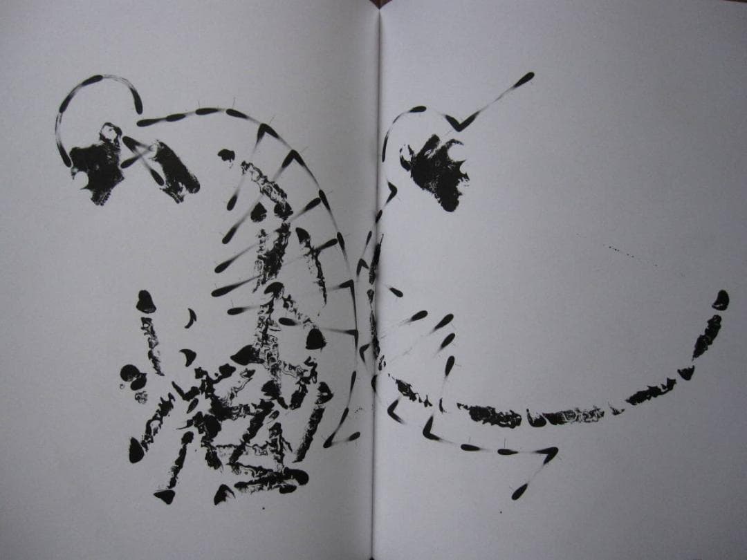 画集　Ralf Ziervogel