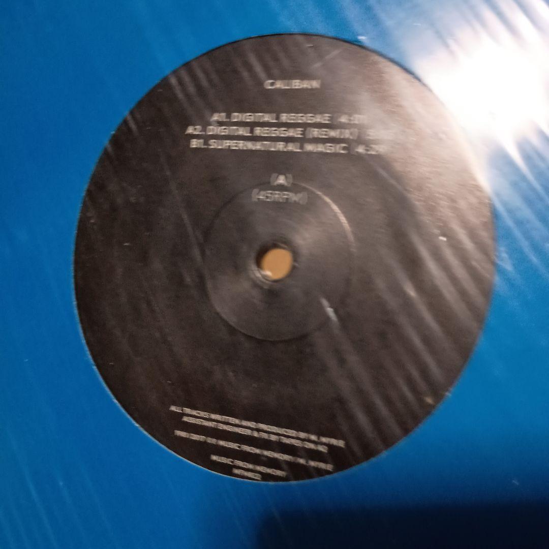 REGGAE DUB DANCEHALL SOUL 12枚　名曲セット