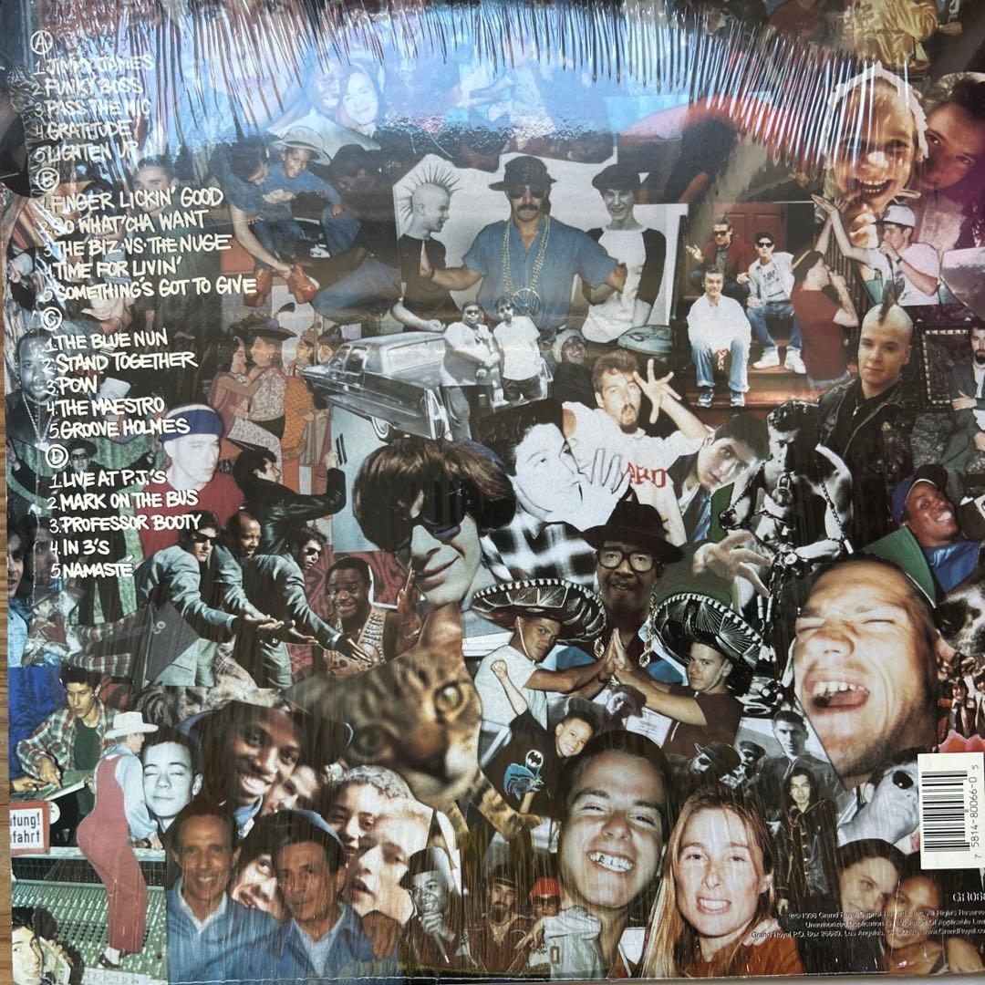 Beastie Boys Check Your Head レコード LP