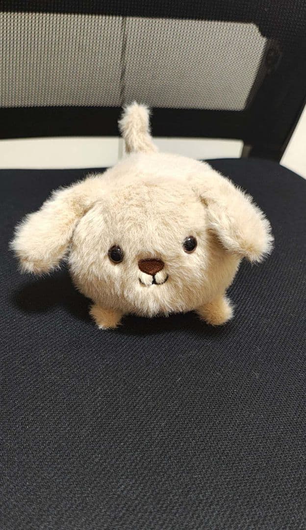 新品 kitten caboodle blackと puppy 犬と猫