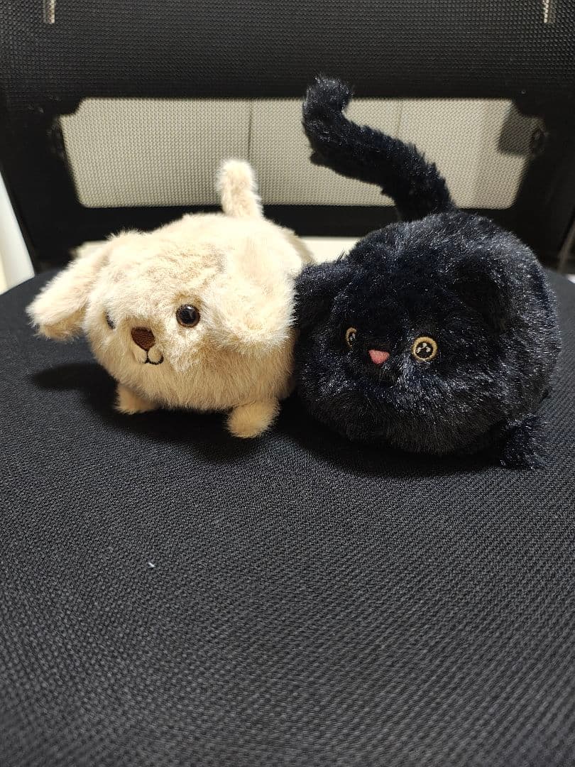 新品 kitten caboodle blackと puppy 犬と猫