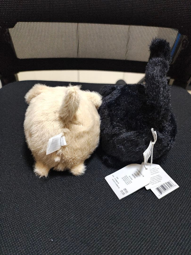 新品 kitten caboodle blackと puppy 犬と猫