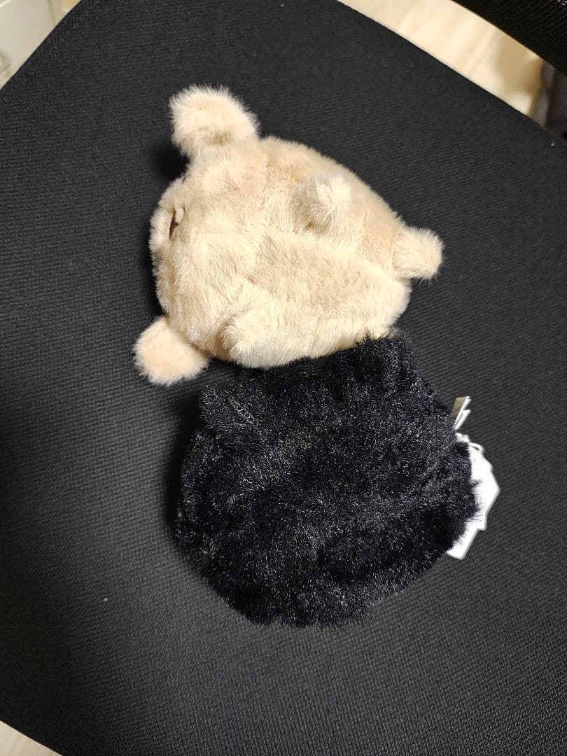 新品 kitten caboodle blackと puppy 犬と猫