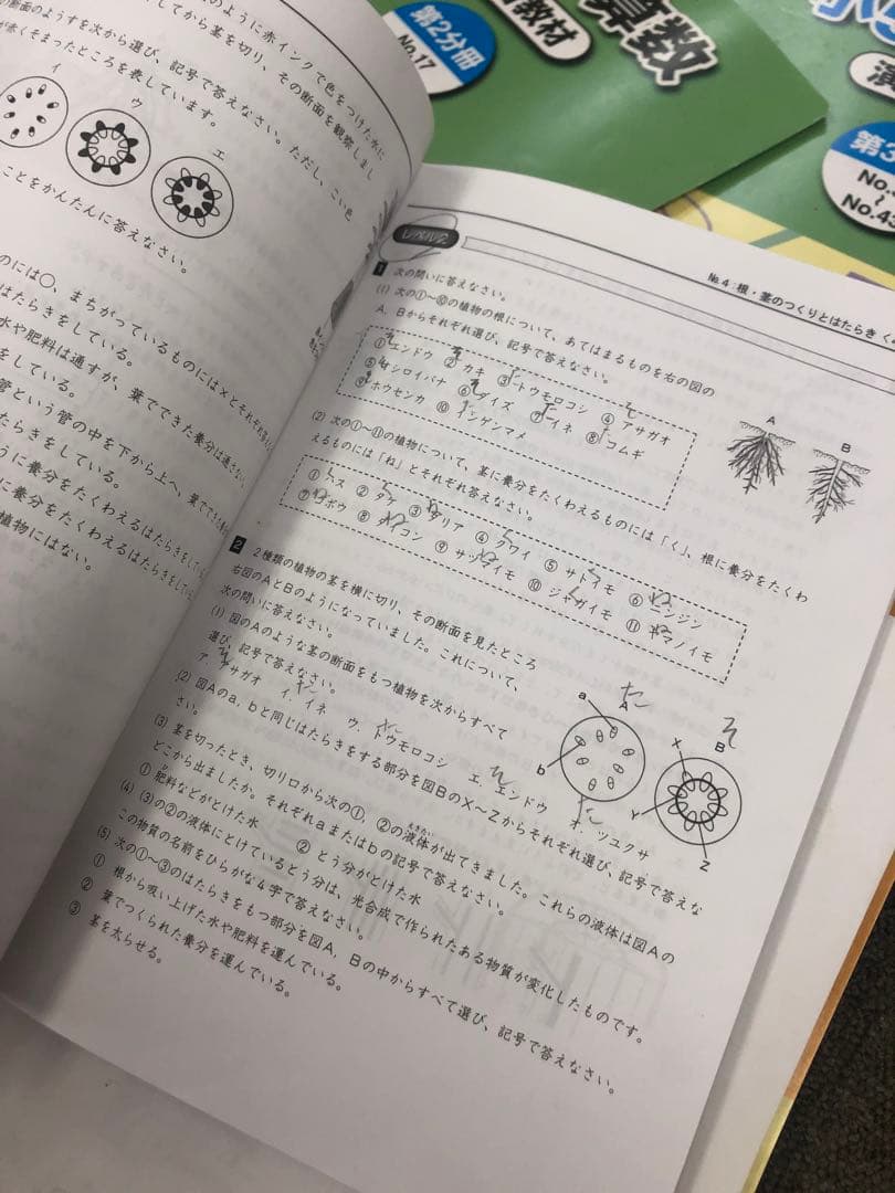 浜学園　小５　国語/算数/理科　テキスト　2020年使用版　 中古