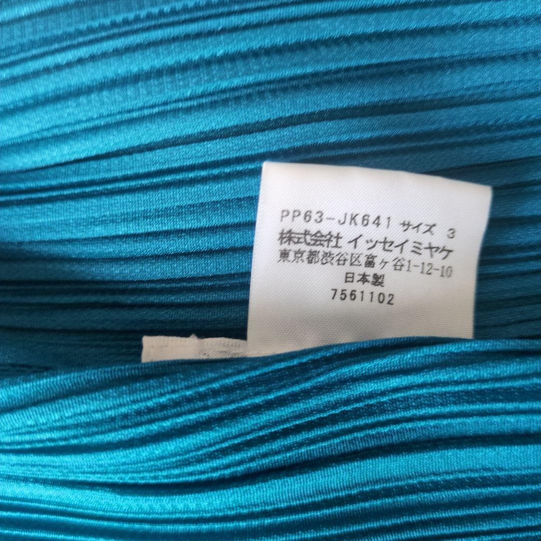 イッセイミヤケプリーツカットソー