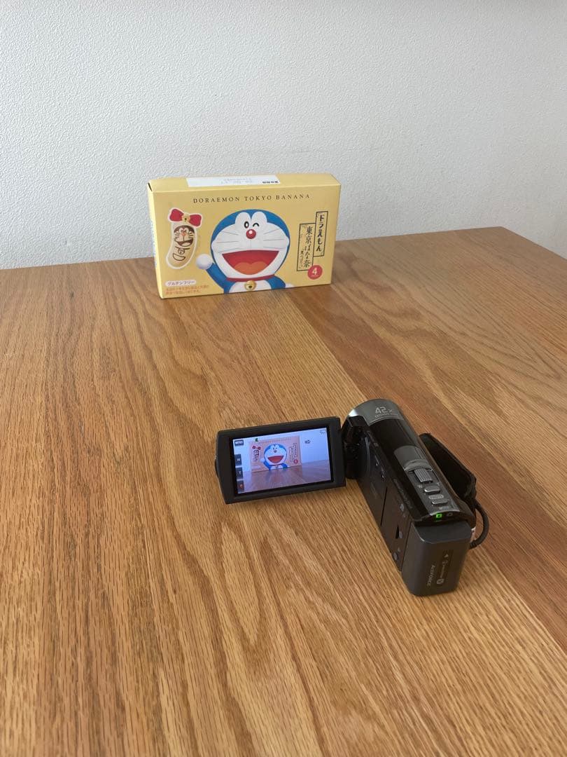 SONY HDR-CX180 HDビデオカメラ（使用少）