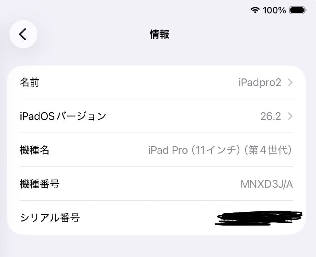 【極美品!!売切価格!!】iPad Pro 11インチ 第4世代 M2チップ