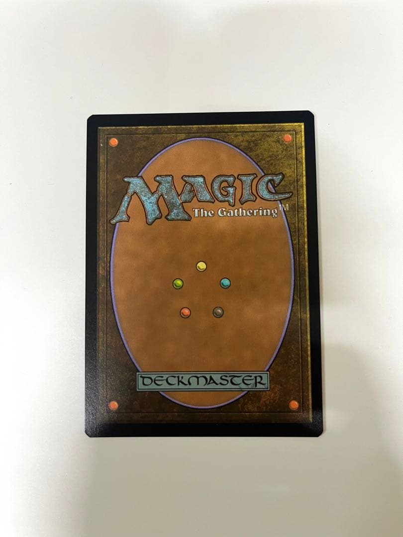 MTG 霧深い雨林/Misty Rainforest 旧枠　foil 英語