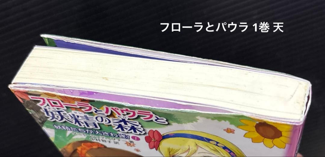 動物と話せる少女リリアーネ 1-12巻 スペシャル 1-4巻 ほか 20冊