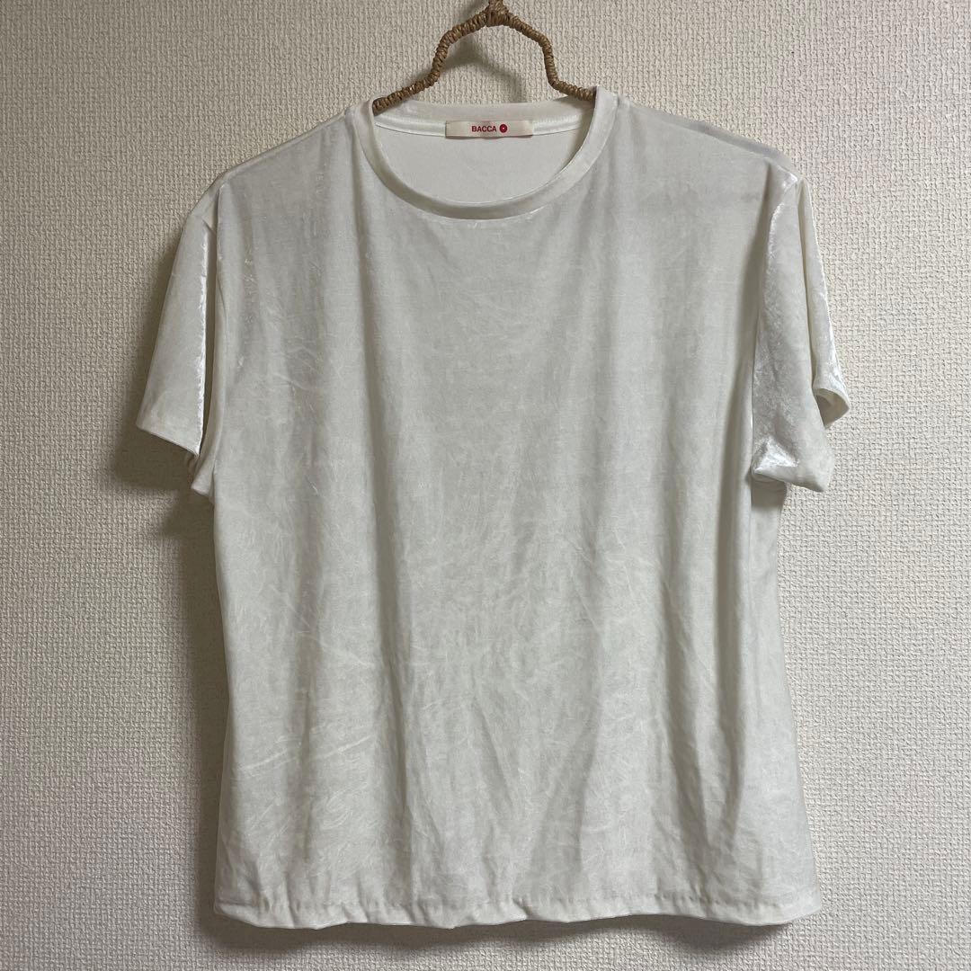 TOMORROWLAND BACCA ベロアジャージーTシャツ サイズM