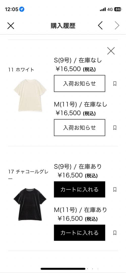 TOMORROWLAND BACCA ベロアジャージーTシャツ サイズM