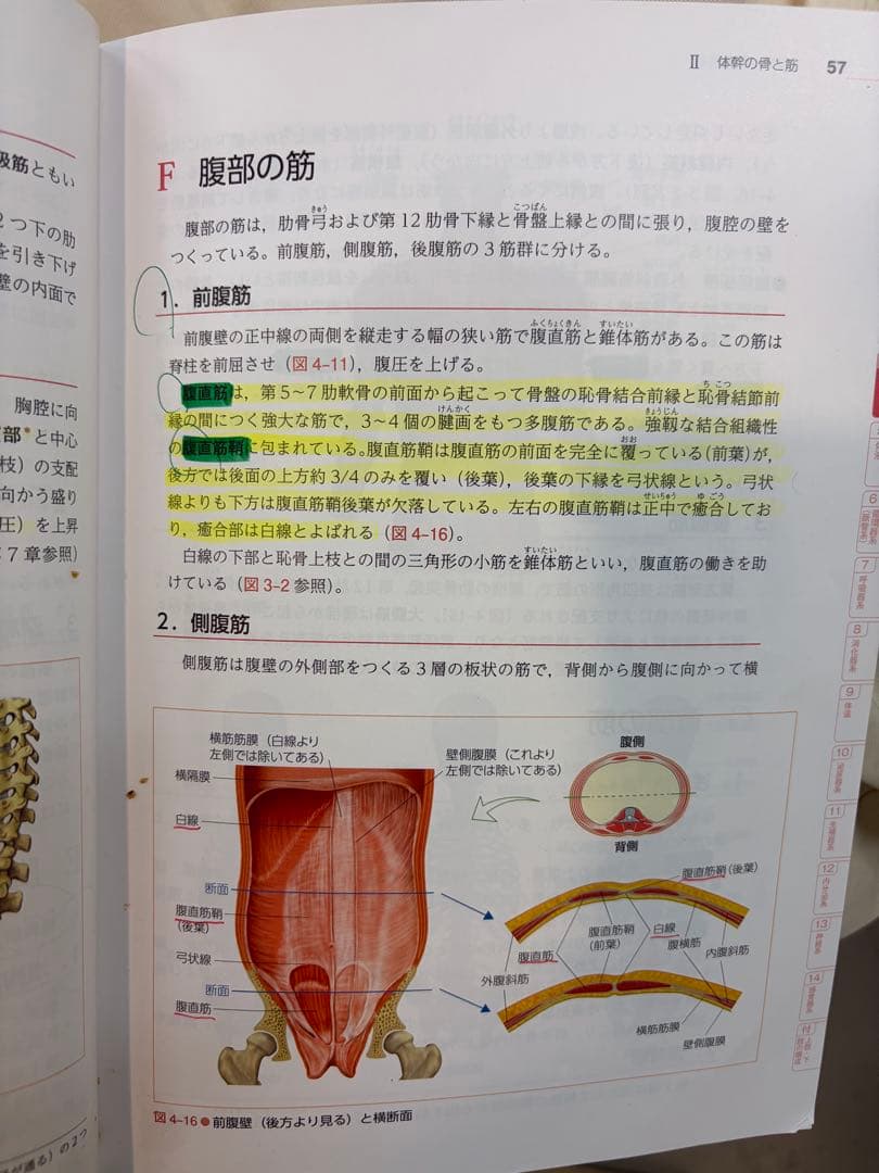 看護学入門全13巻＋准看護師試験問題集