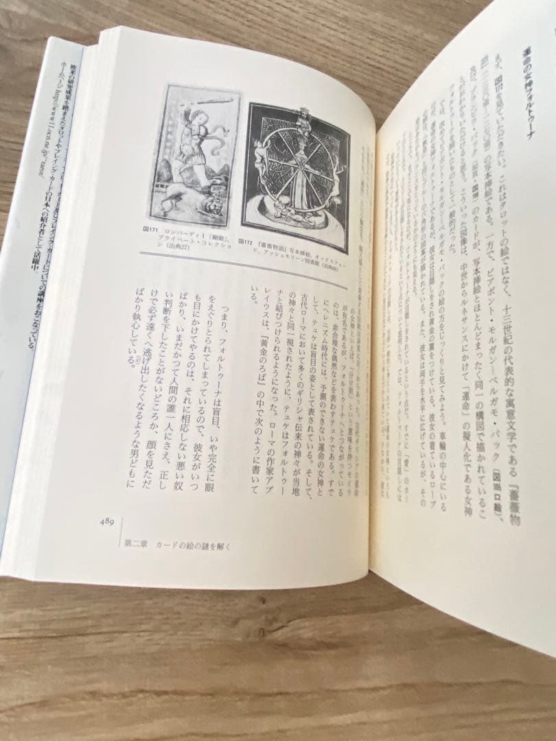 タロット大全　歴史から図像まで　伊泉龍一