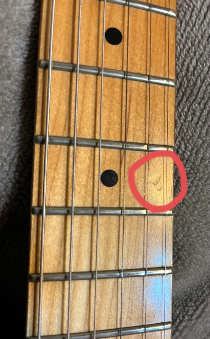 は*ぎ様 FERNANDES Regulus youモデル（Janne Da A