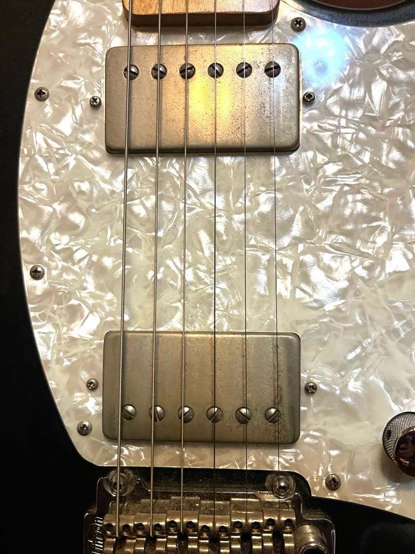 は*ぎ様 FERNANDES Regulus youモデル（Janne Da A