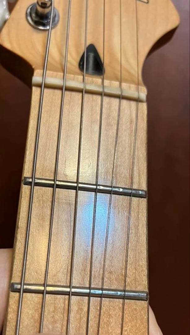 は*ぎ様 FERNANDES Regulus youモデル（Janne Da A
