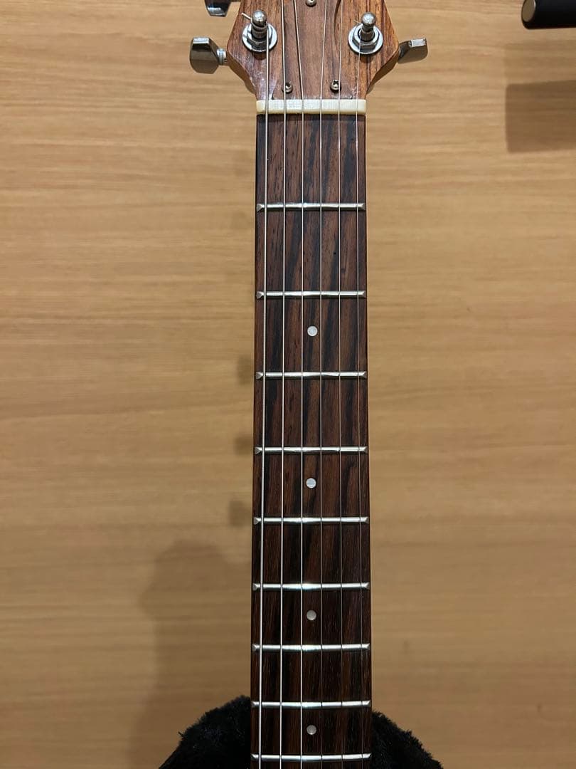 Ampeg アンペグ　Lucite Guitar ルーサイドギター　コピーモデル