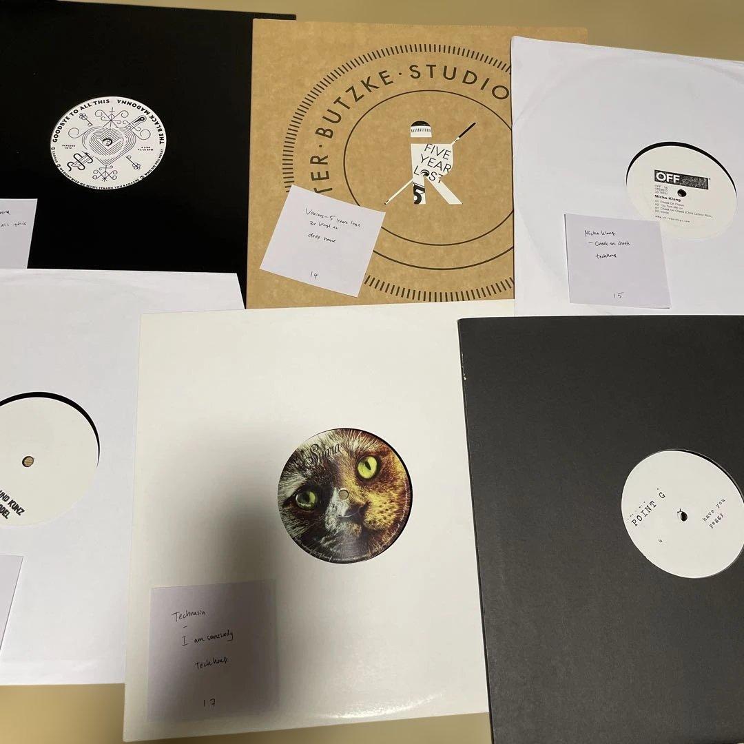 Deephouse/techhouse中心未使用レコード30枚J